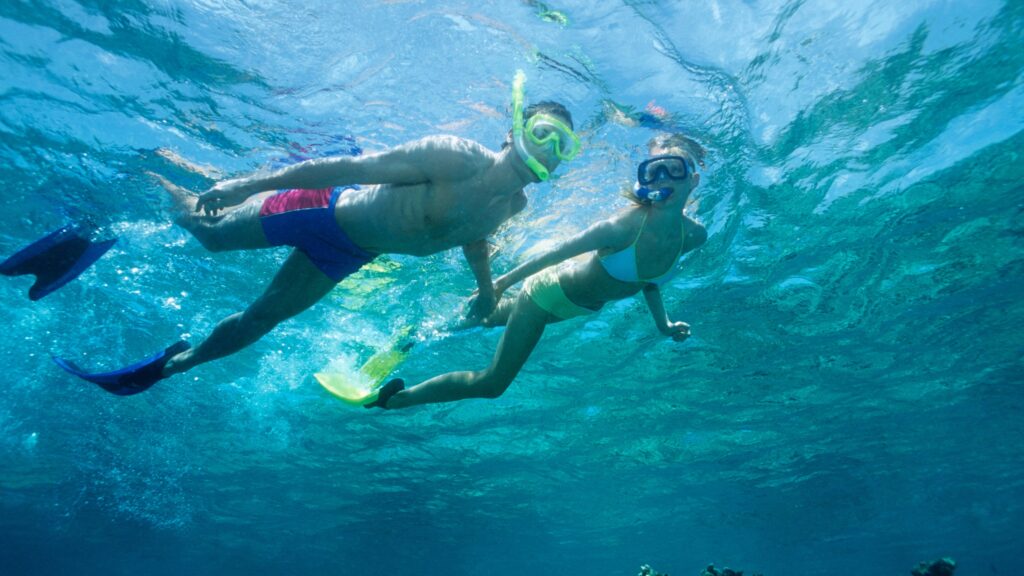 swimming and Snorkeling