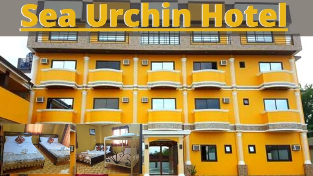 Sea Urchin Hotel Alaminos