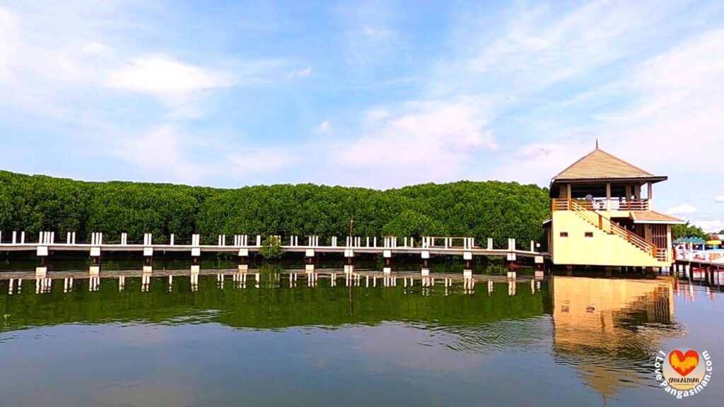 Bued Mangrove Forest Park Alaminos Pangasinan