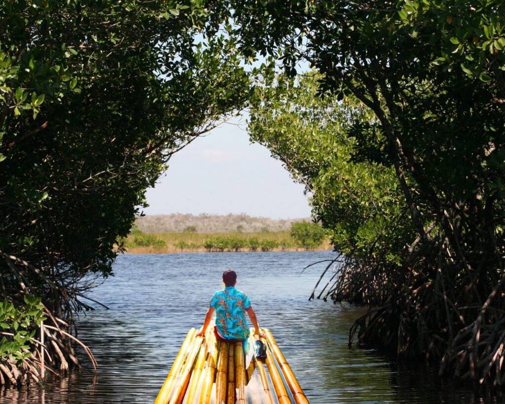 Activities at Bued Mangrove Forest Park Alaminos