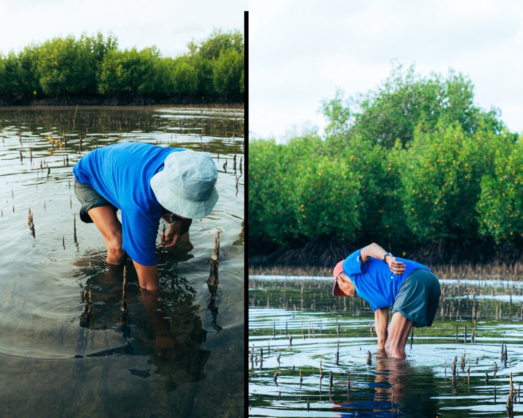 Activities at Bued Mangrove Forest Park Alaminos