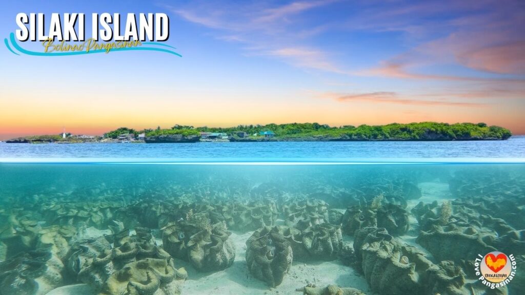 Silaki Island Bolinao Pangasinan